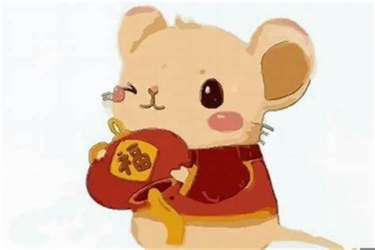 生肖属鼠的2025年运势如何