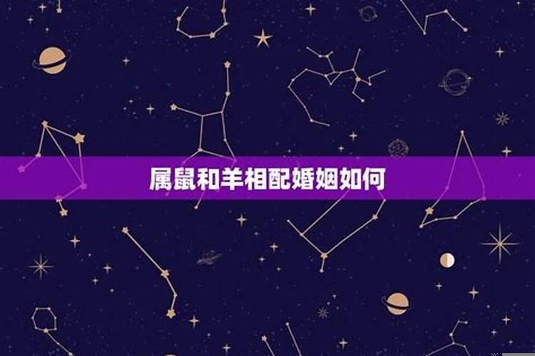 属羊和鼠相配婚姻如何