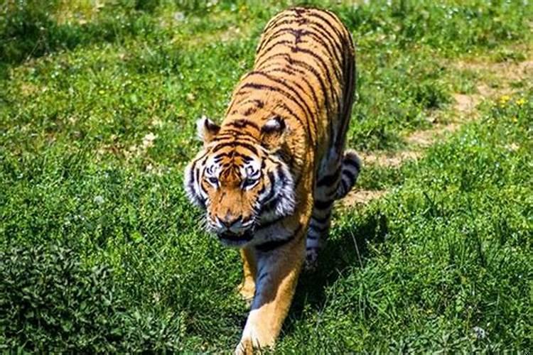 一个人开始转运的最大征兆