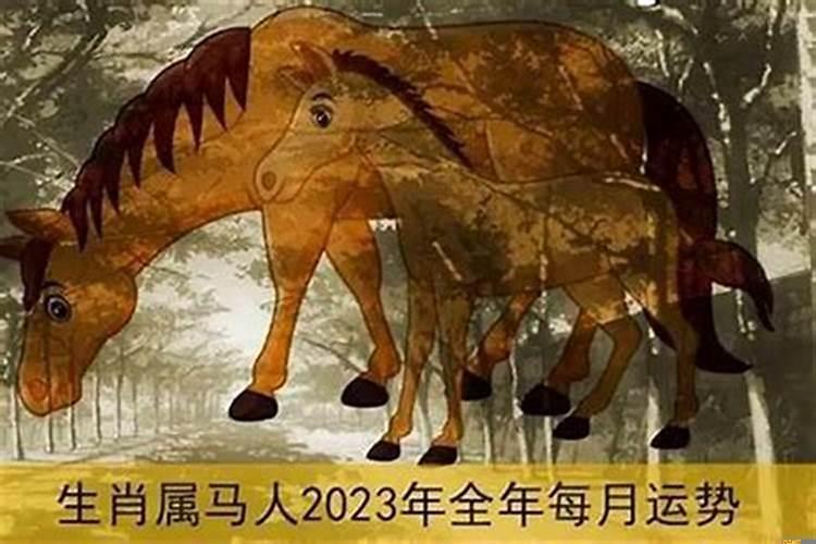 属马女今年运势2025