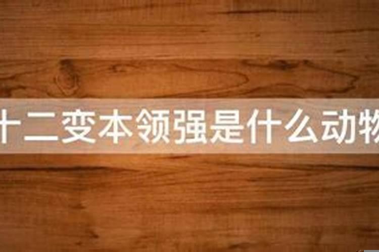 生来本领强又大打一生肖