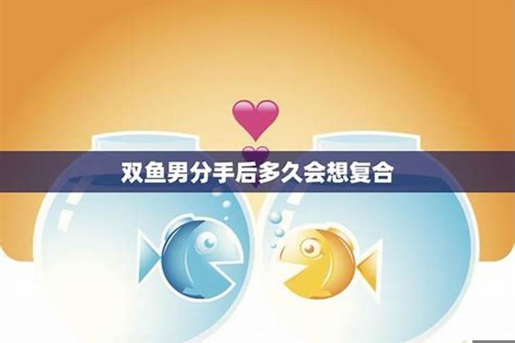 双鱼座分手后的复合可能