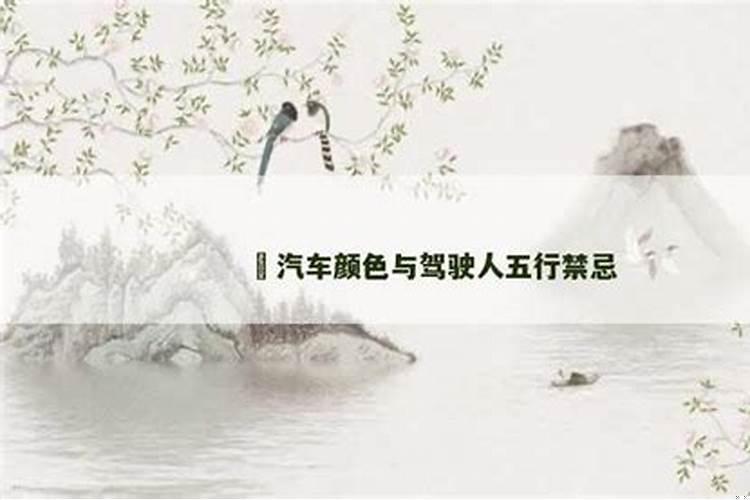 汽车颜色与五行