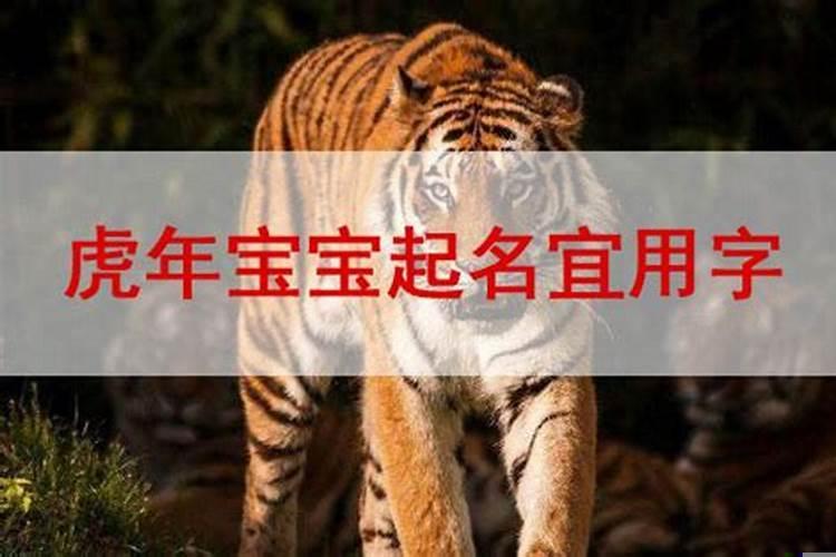 2022年的虎宝宝旺父母吗