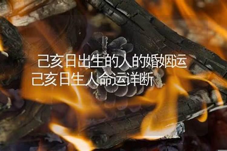 己亥月己亥日出生