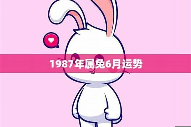 1987年属兔事业和财运