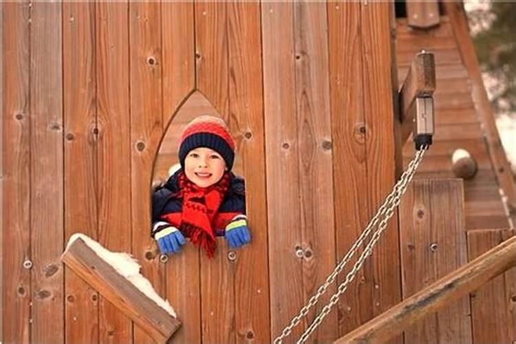 梦见很多猫围着自己是什么意思