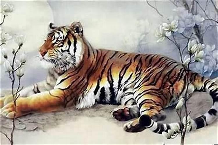 2022年的虎宝宝旺父母吗