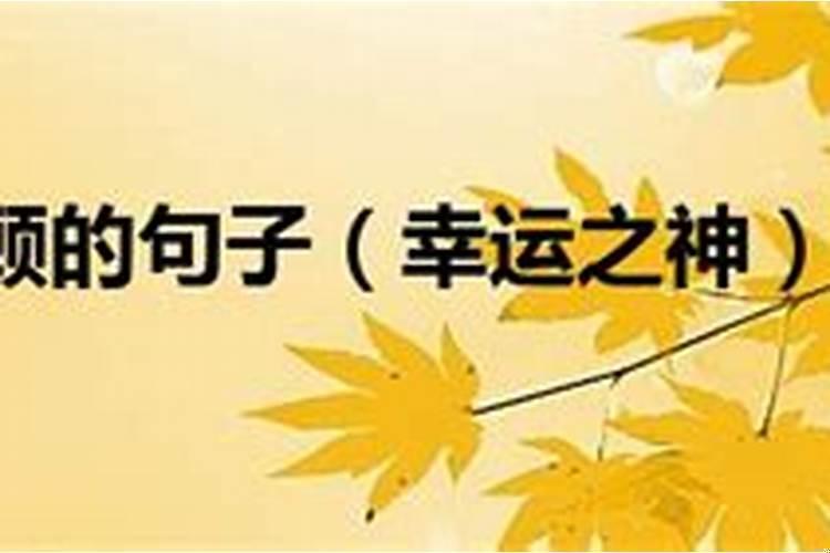 我一直都是幸运的