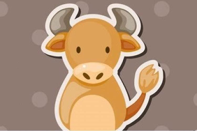 09年狮子座的财运怎么样呀