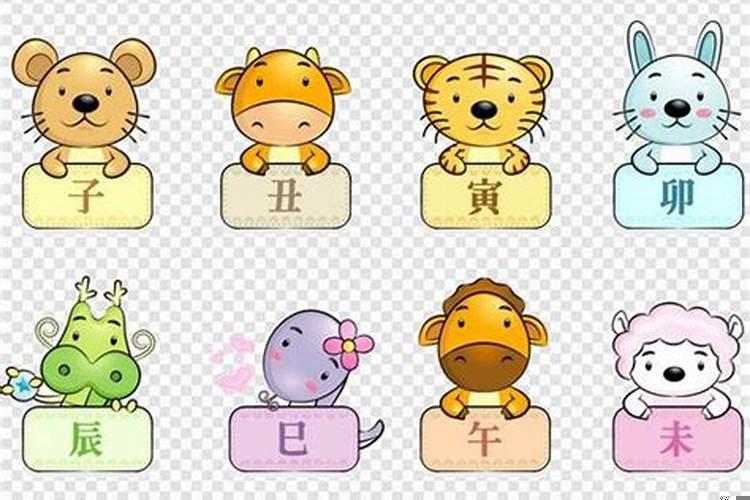 不能处处容忍的动物是什么生肖