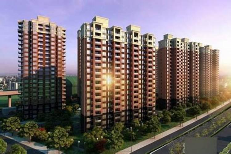 寺庙门口的狮子