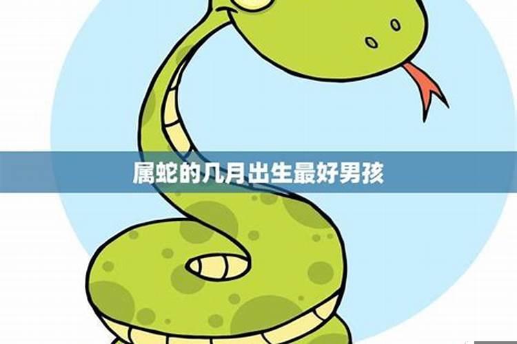 属蛇的男孩几点出生最好命