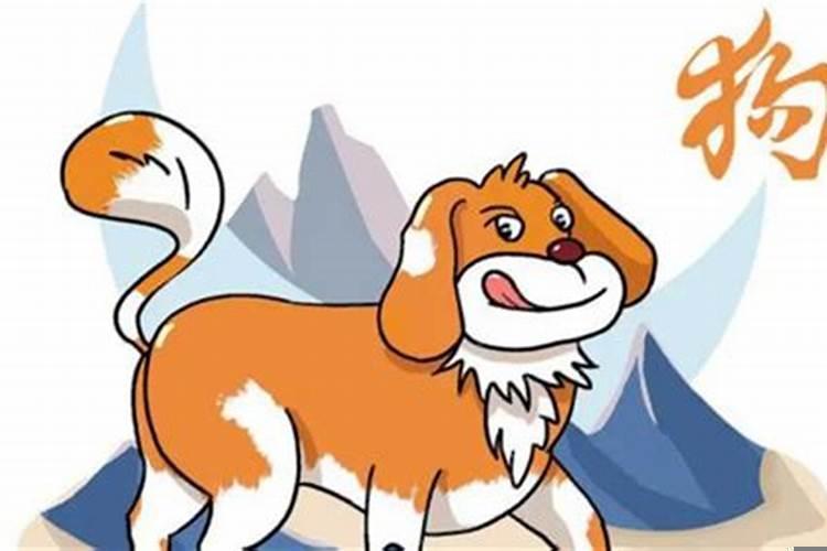 什么生肖操劳一生