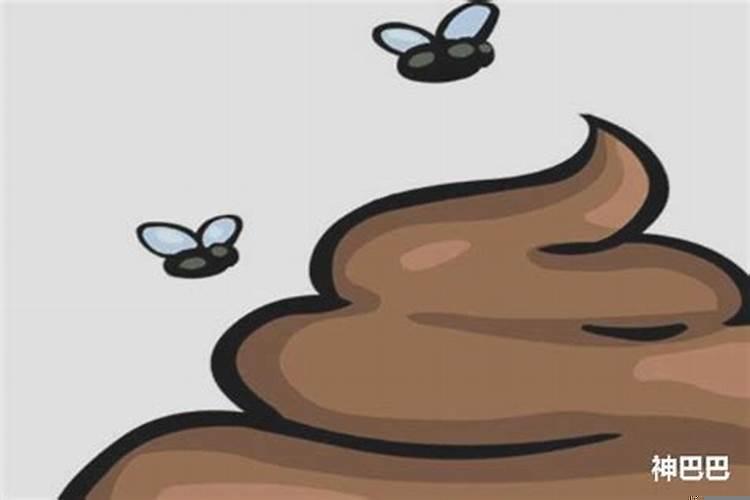 梦见拉大便别人看见了