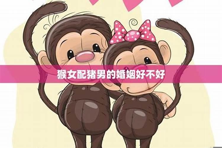 女猴男狗什么时候结婚合适