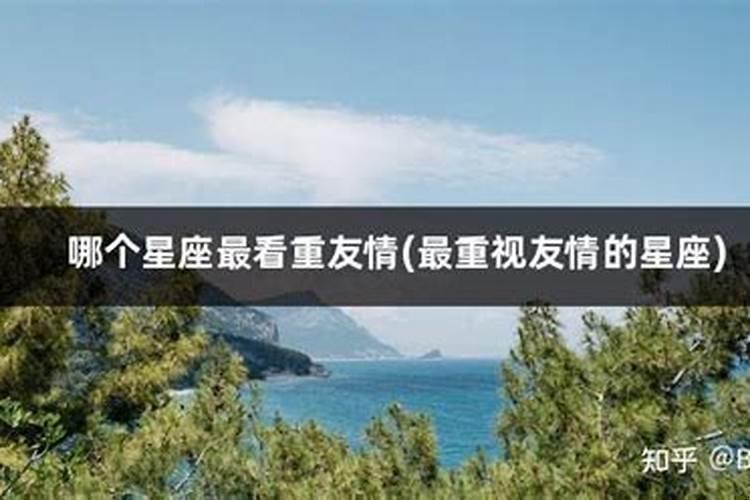 看重友情高于爱情的星座