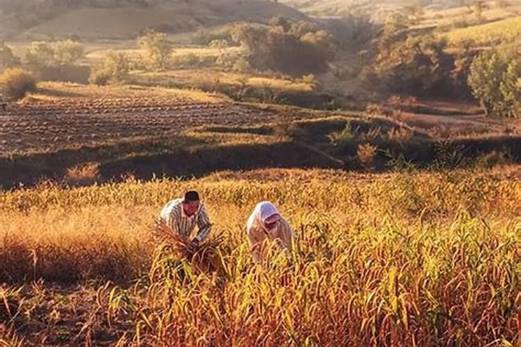 在城市的农村人回老家的感觉