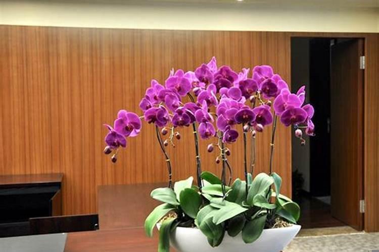 金命五行属水是什么意思