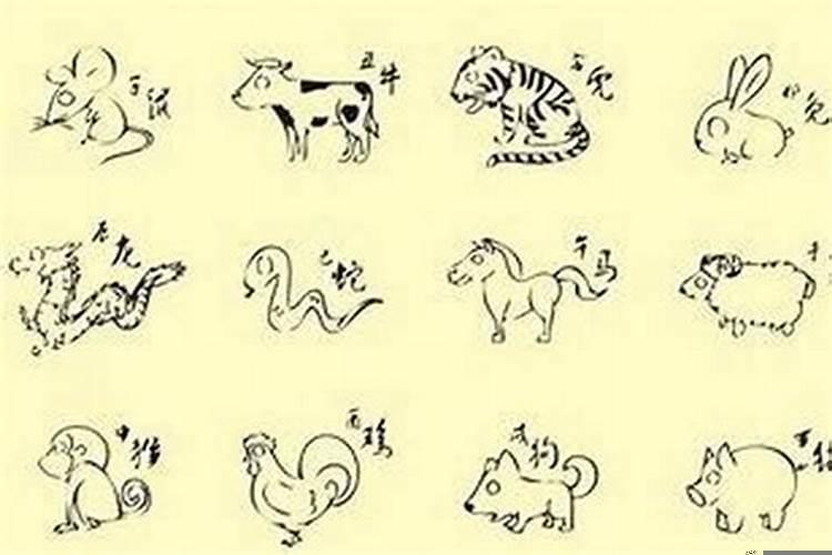 不能处处容忍的动物是什么生肖