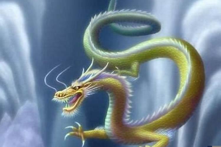 梦到龙有什么征兆