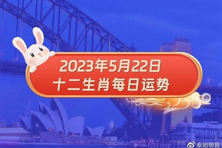 2025年2月14号属相