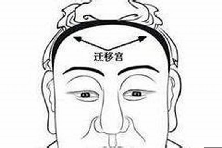 面相学五官分析