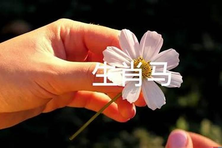 情路坎坷的生肖女