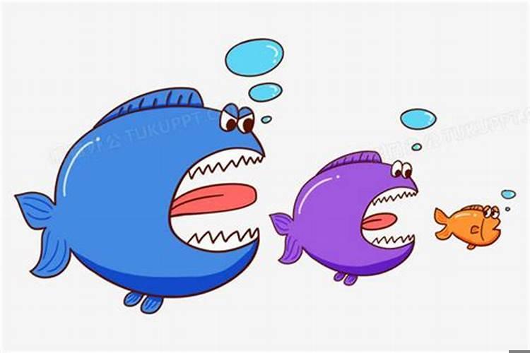 梦见大鱼是什么意思啊