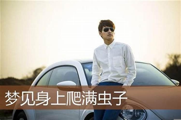 梦见小狗身体里好多虫子什么意思