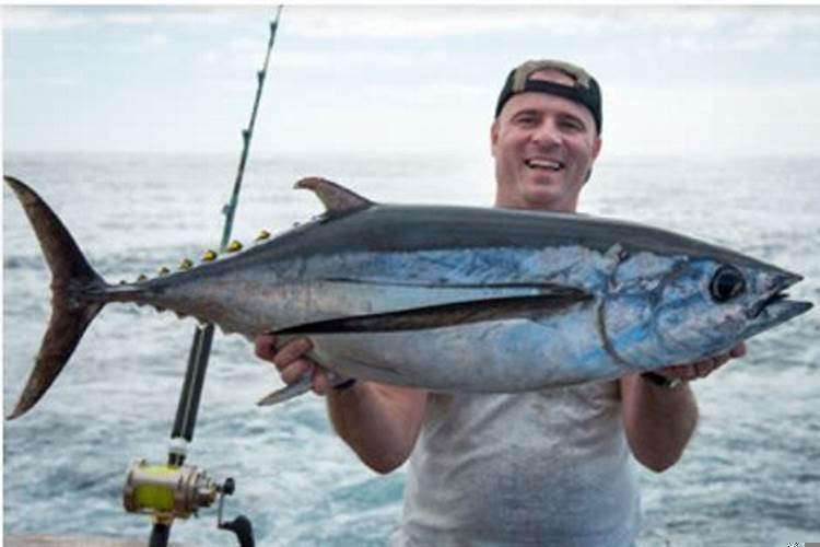 梦见大鱼是什么意思啊