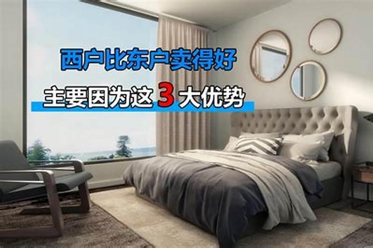 买东户和西户有何区别