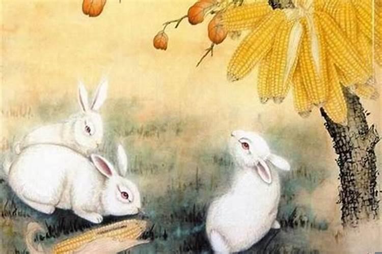 女猴男狗什么时候结婚合适