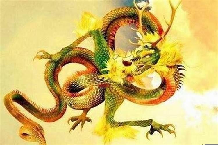 属龙的人晚年如何生活和谐