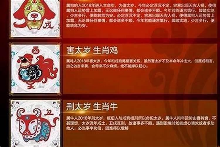 本命年运气特别差怎么办