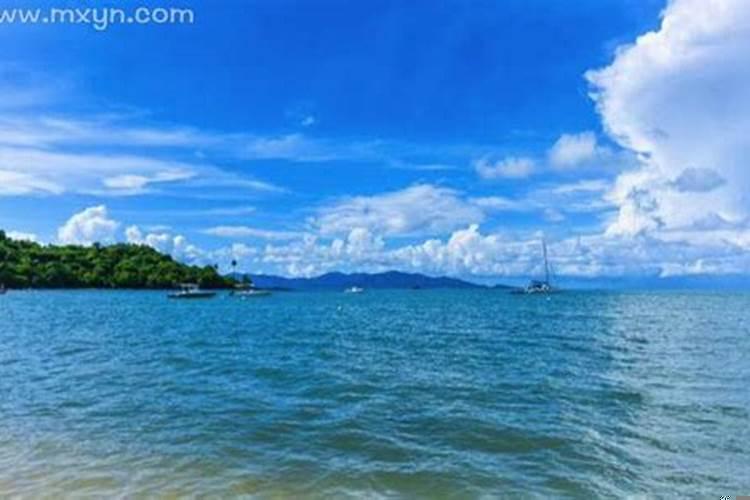 梦见大海水好不好