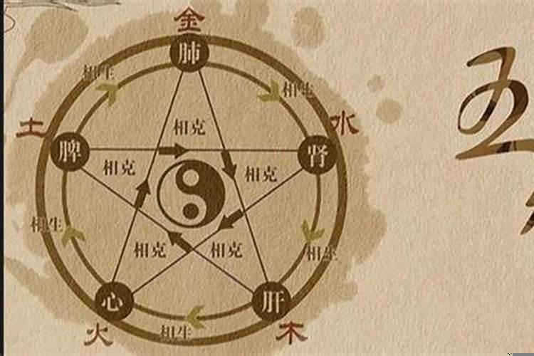 2025年2月14号属相