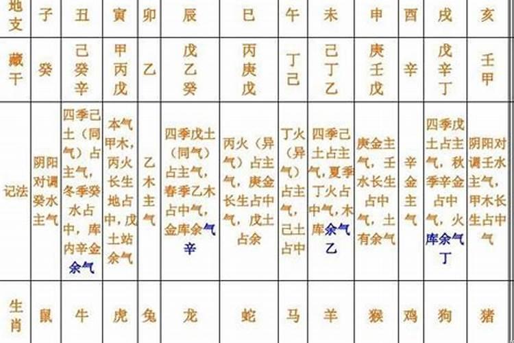 八字本气中气余气详解