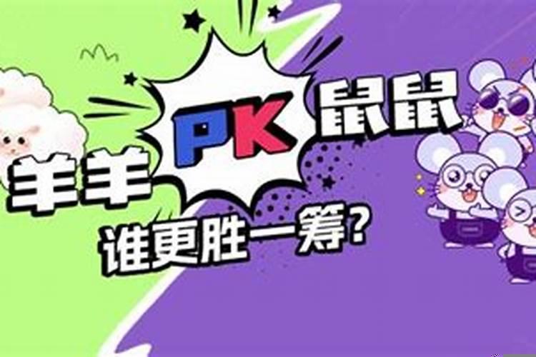 如果属鼠的和属羊的在一起会怎样