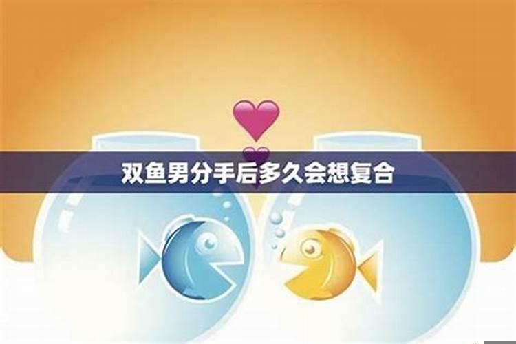 双鱼座分手后的复合可能