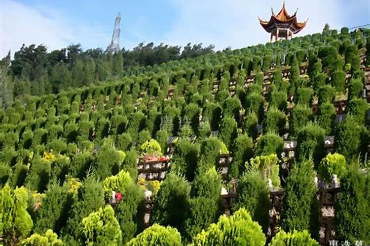 选好的墓地暂时不用该怎么办呀