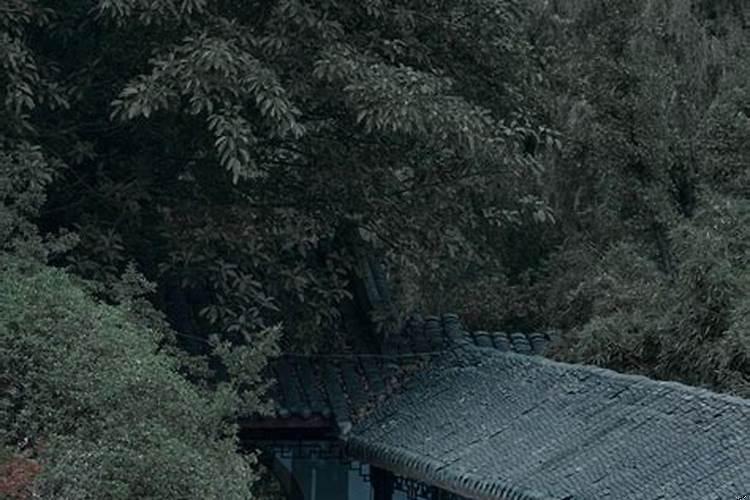 犯了桃花劫会得到报应吗知乎