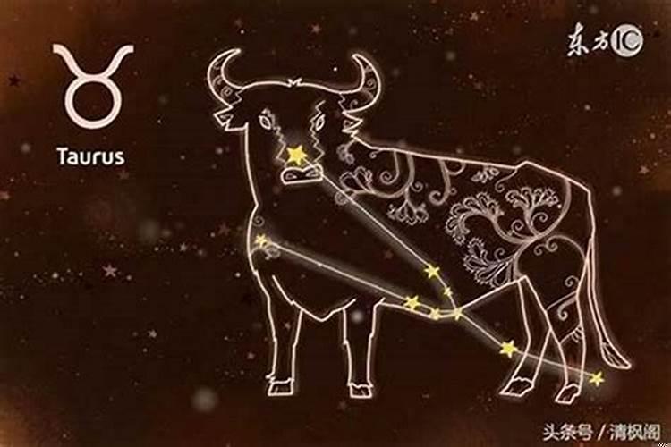 八月运势双子座