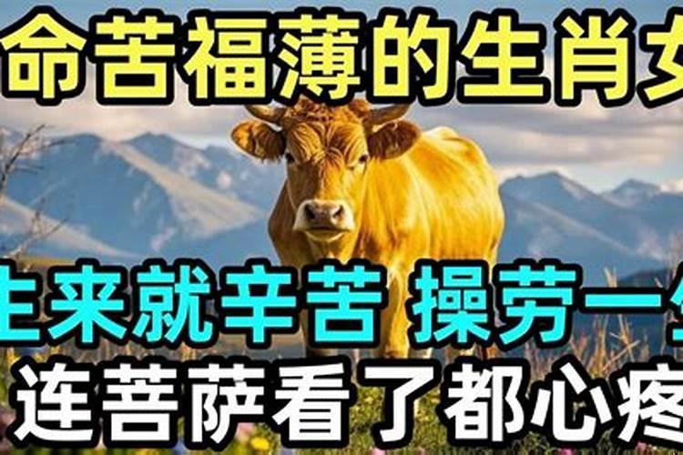 什么生肖操劳一生