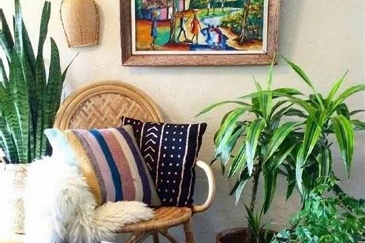 室内植物摆放风水禁忌有哪些