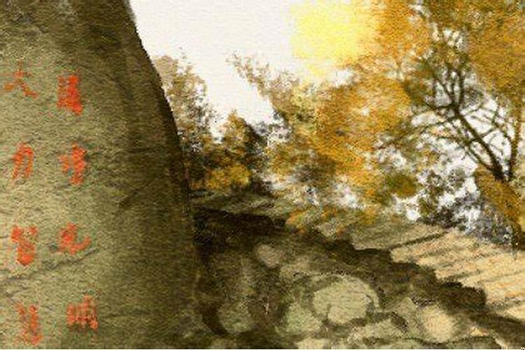 乙木走丙午大运