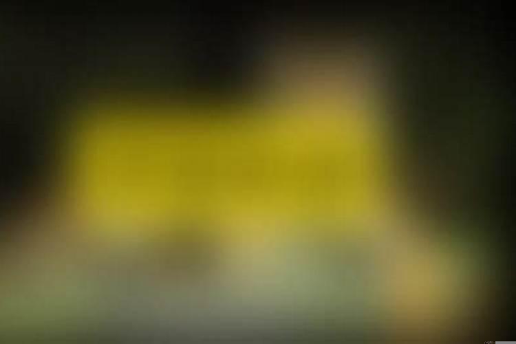 梦见老虎扑向自己是什么预兆