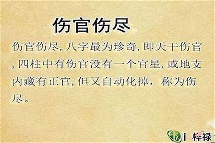 什么叫做伤官
