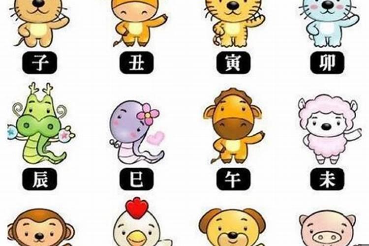十二生肖性格解析
