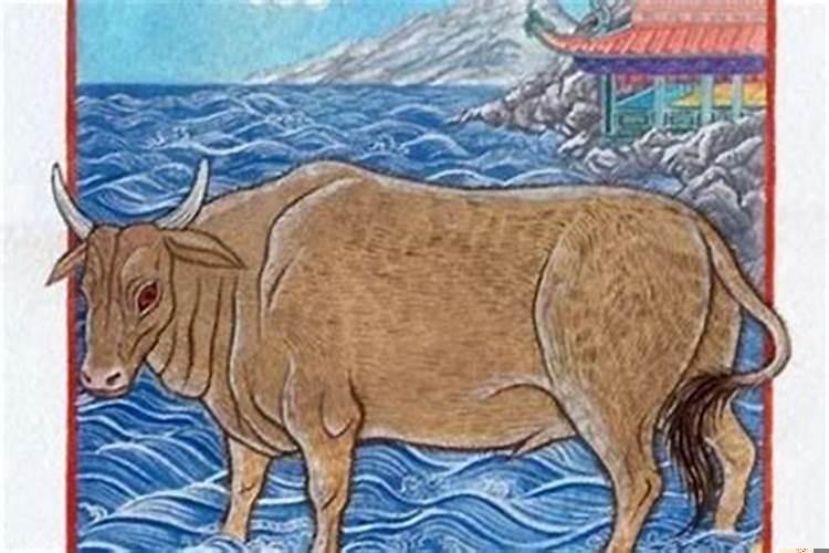 1985年2月4日出生是什么命